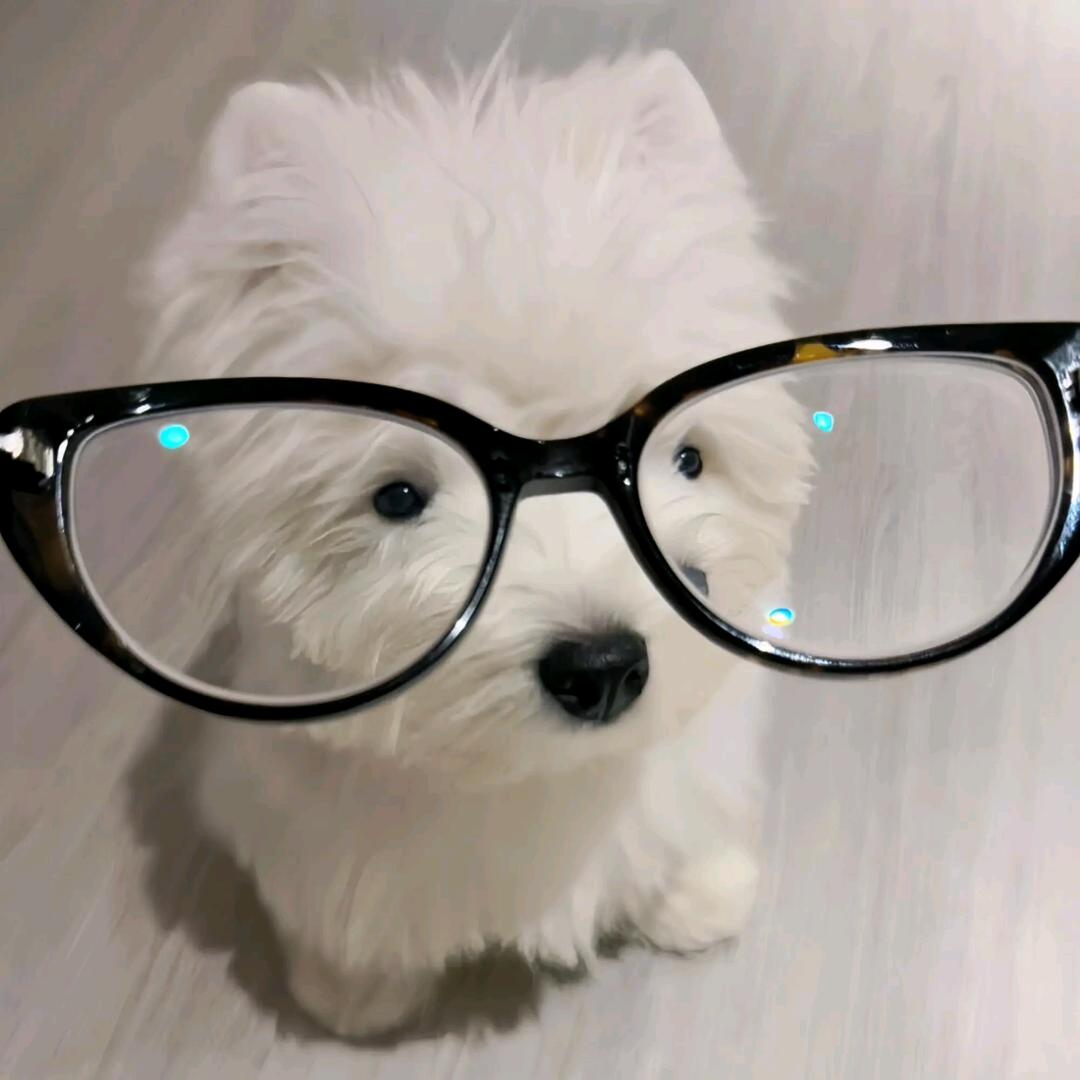 什么时候洗头发