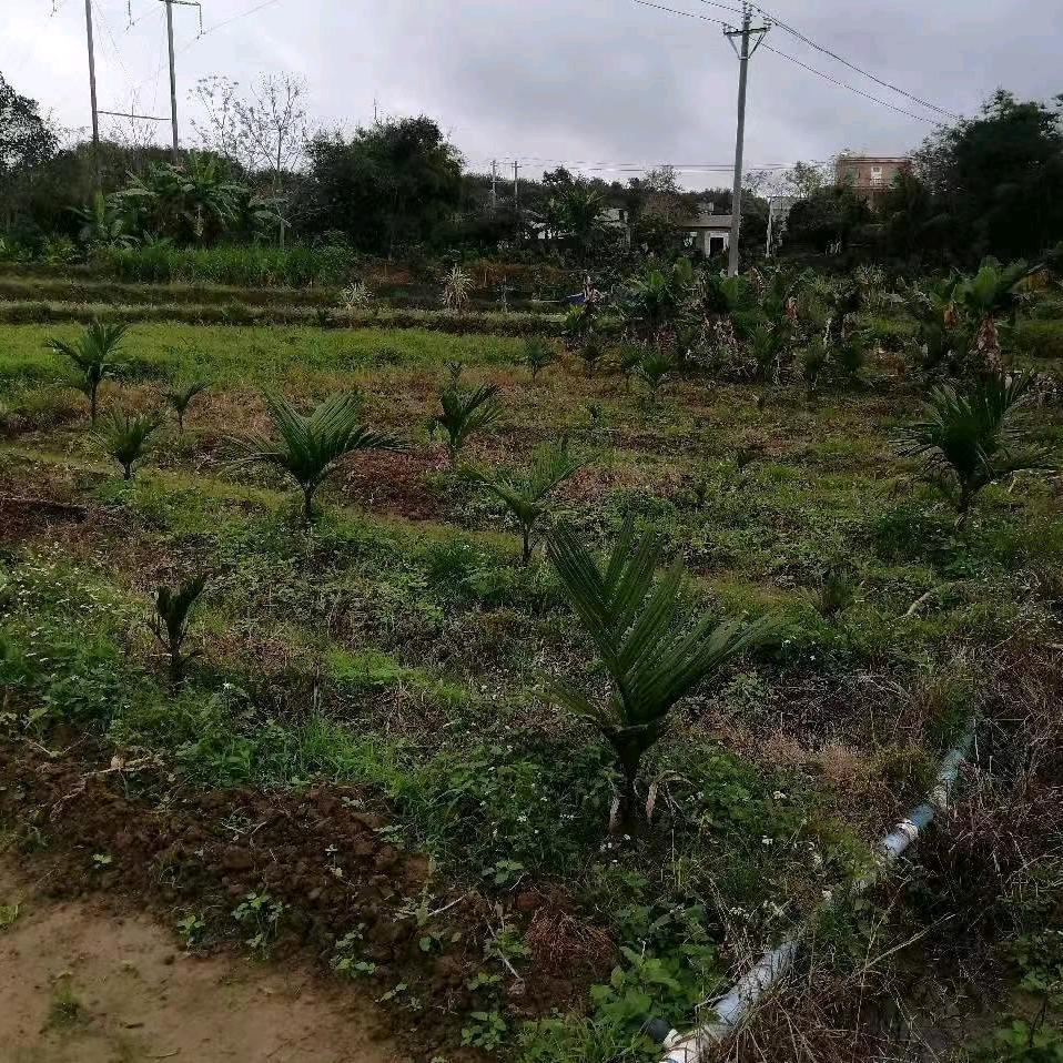 马超🌙☀️🌟