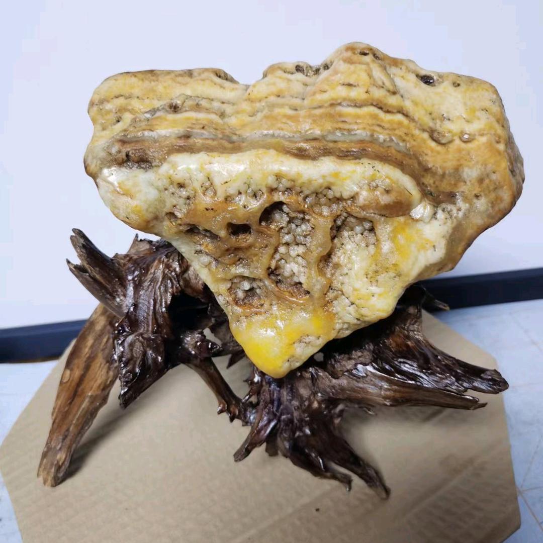 缘分（随缘）缘分