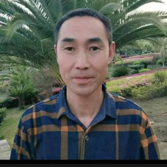 文山三七粉郑哥