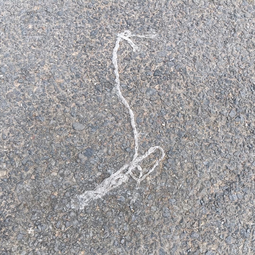 上帝的左手