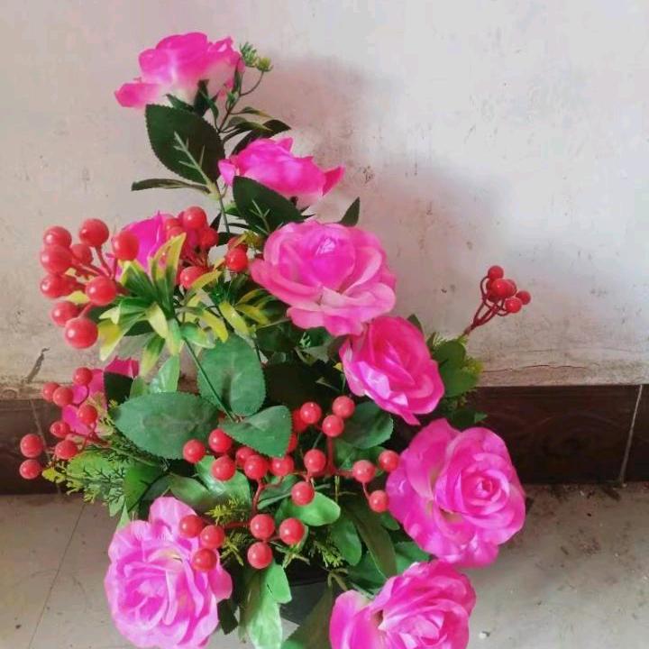 开心天上星♥️♥️🌹🌹🍒🍒