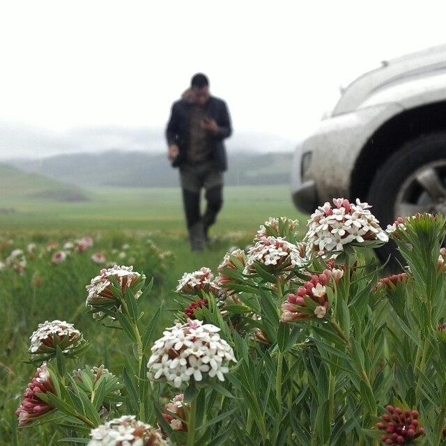 🎣八九不离食(ZhShR)