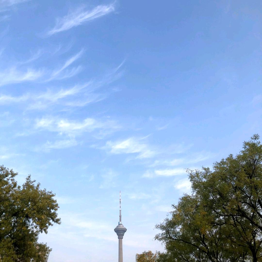 持之以恒
