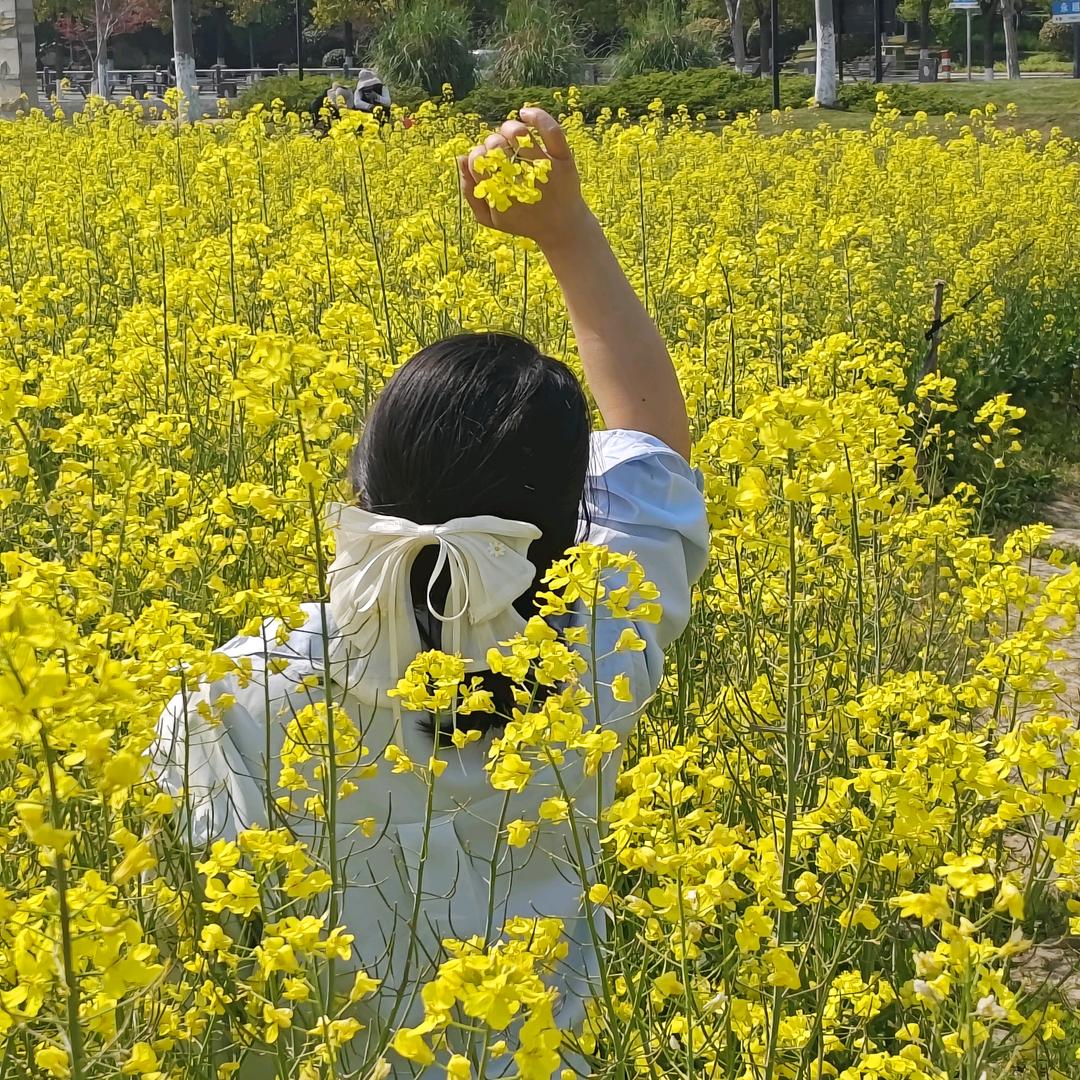 半个🍋