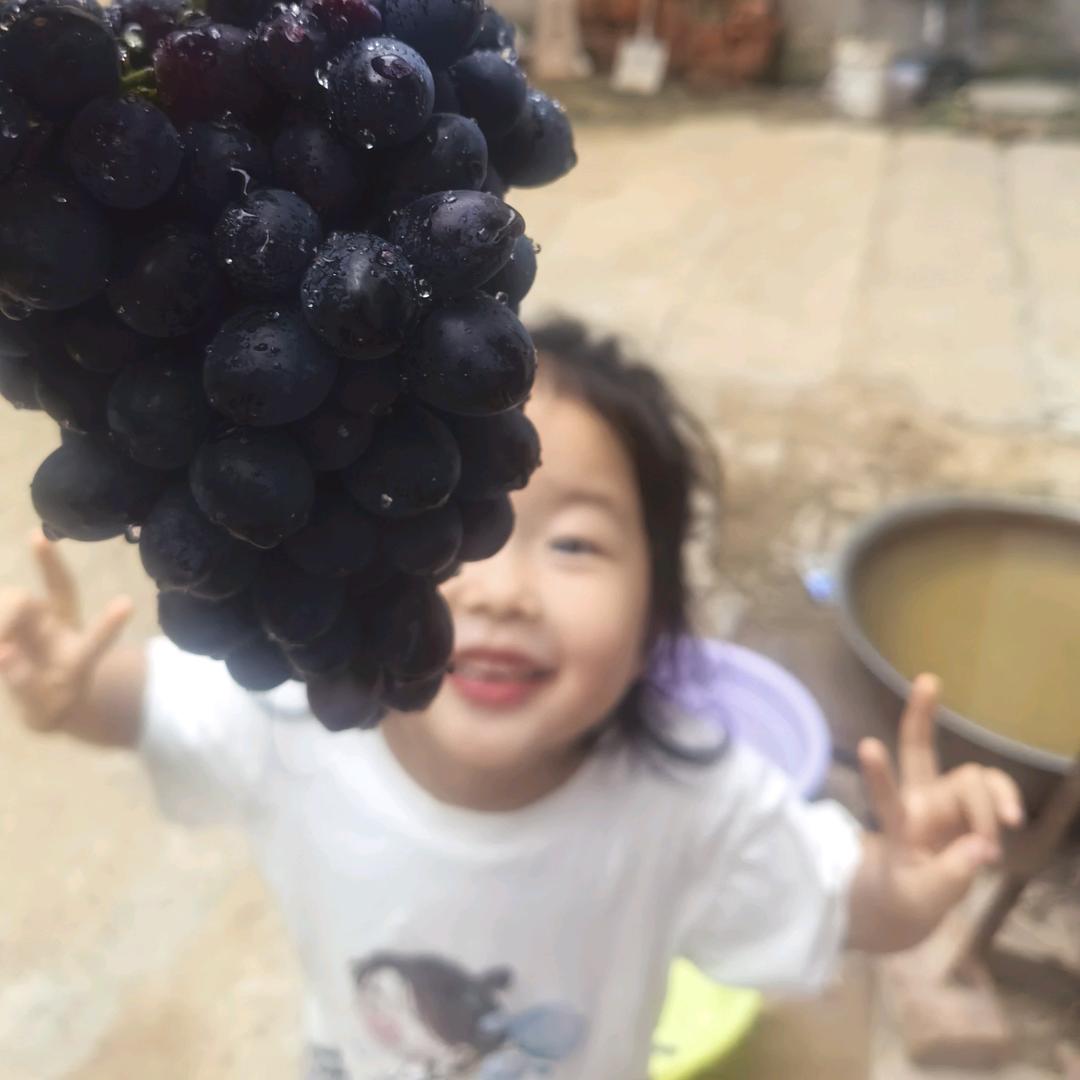 随心所欲
