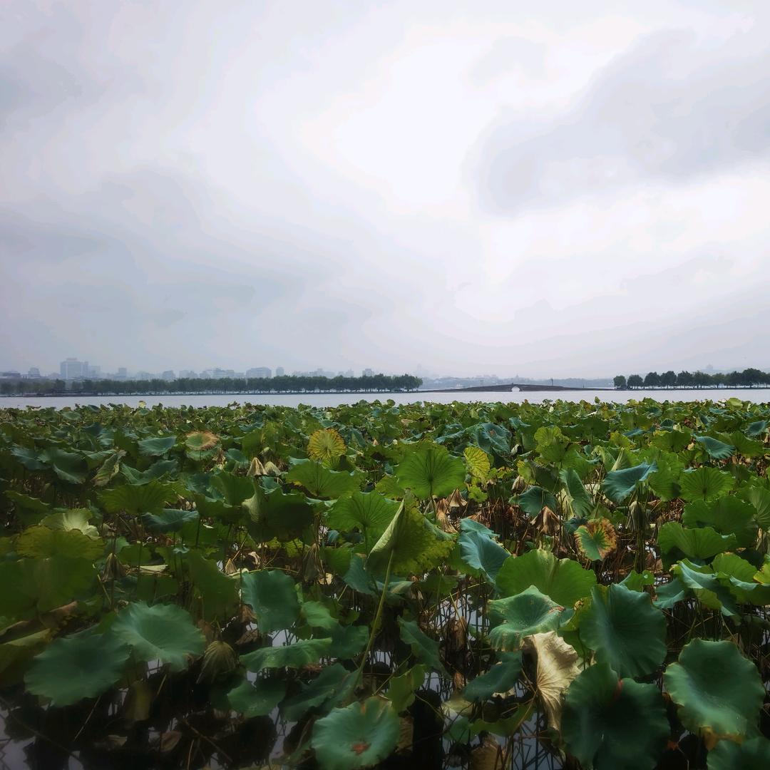 敢叫日月换新天