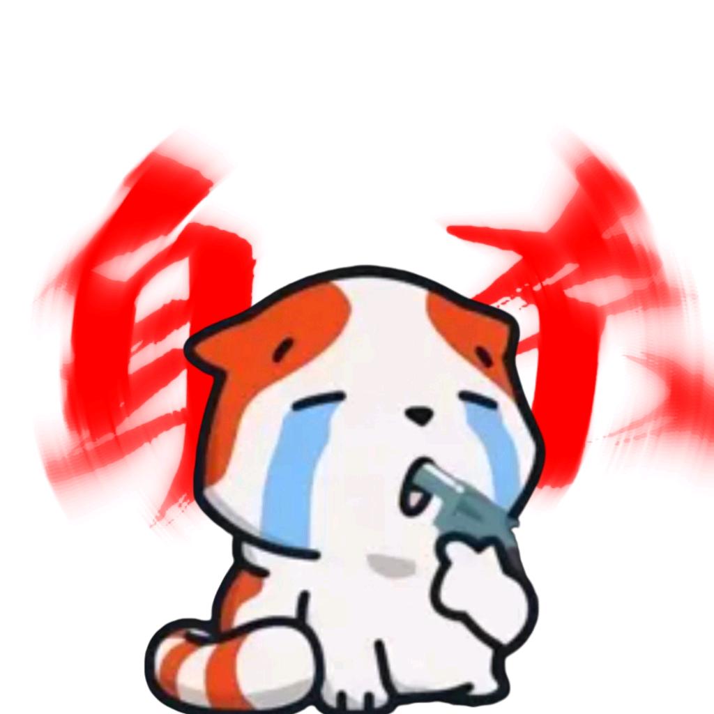 猫danm
