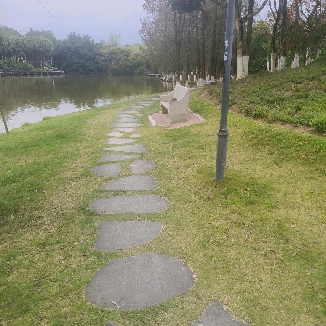 天道