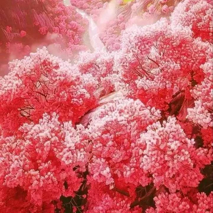 有喜欢我的小姐姐看过来