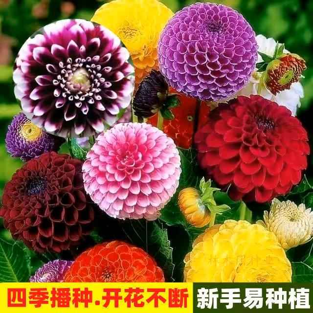 快乐