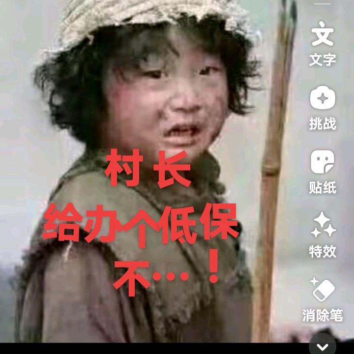 👩🏻👉诺伊👈🌱🌻