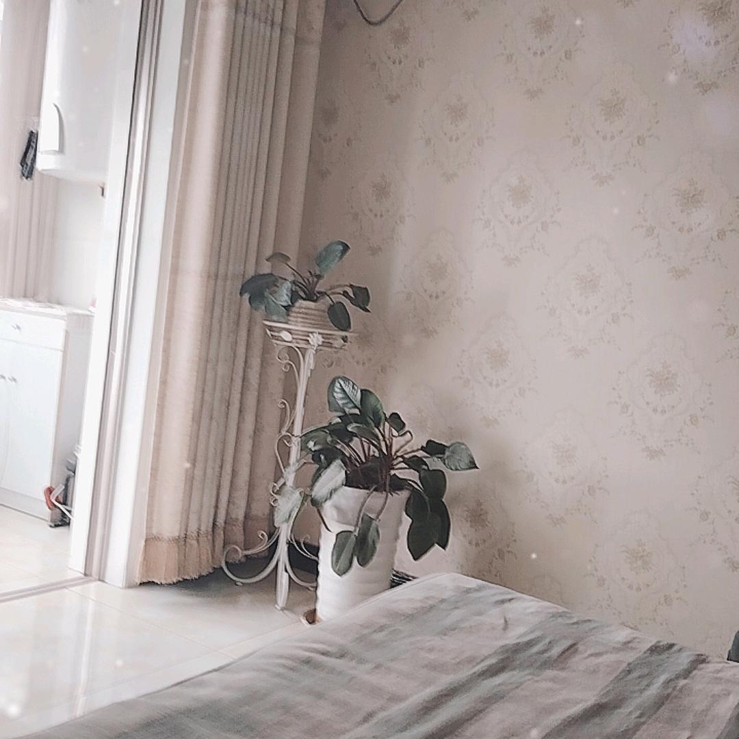 音乐爱好者