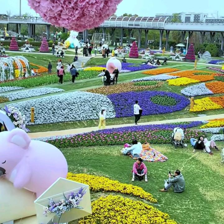 花天花地