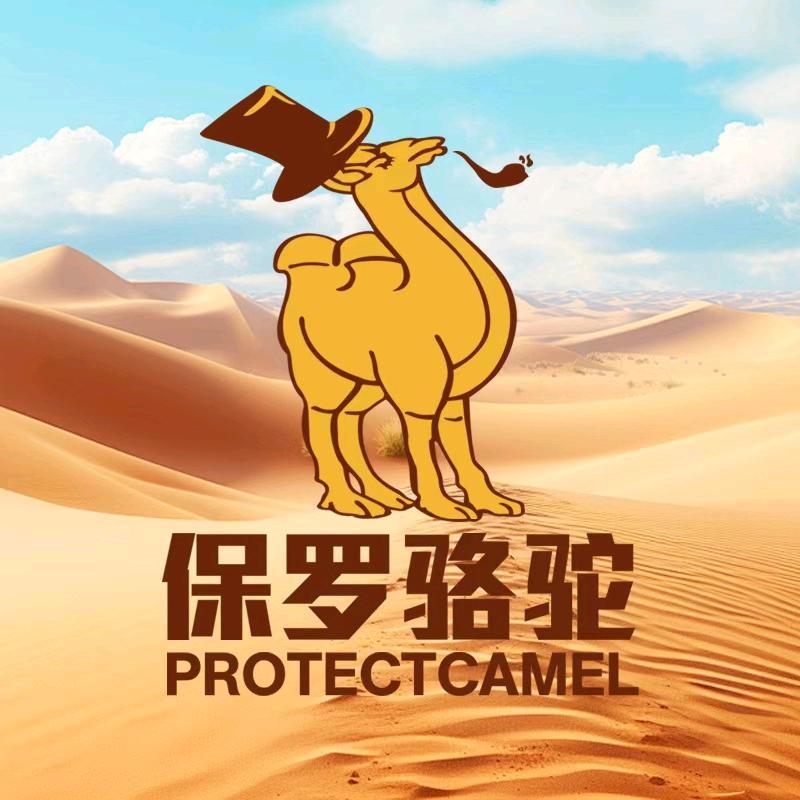 保罗骆驼运动用品直播间