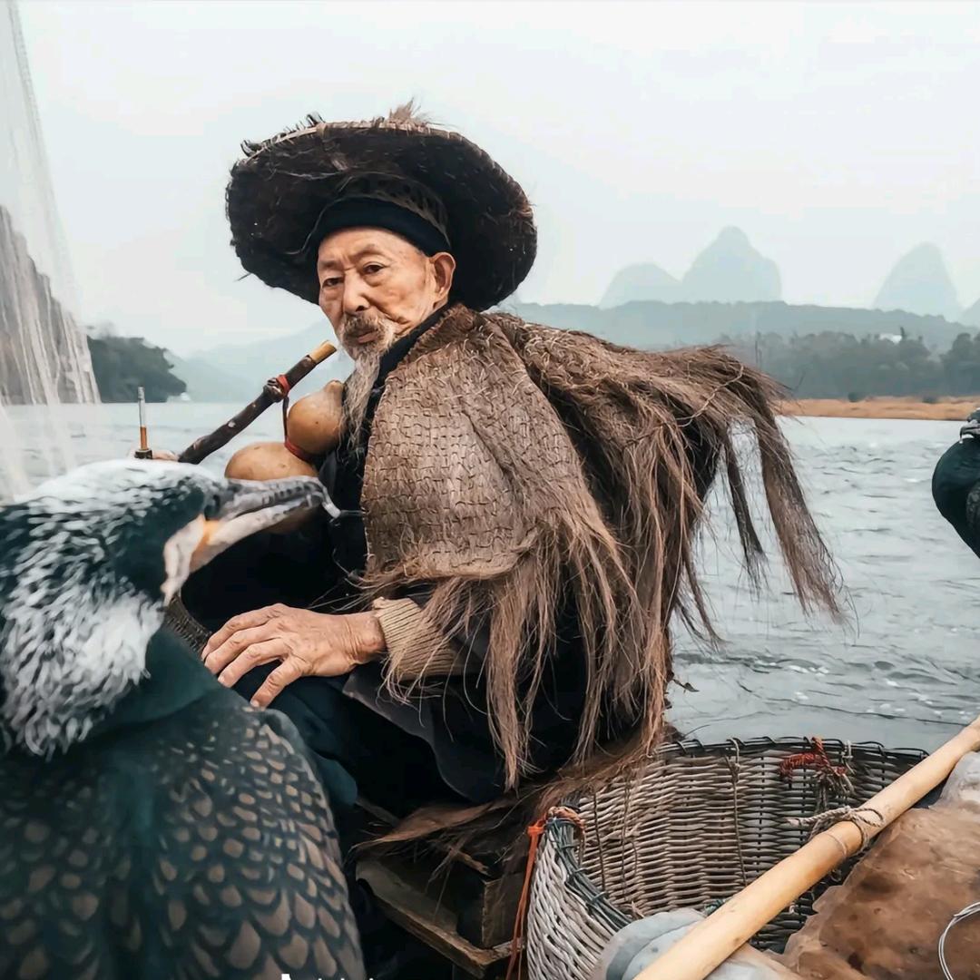 慢羊羊