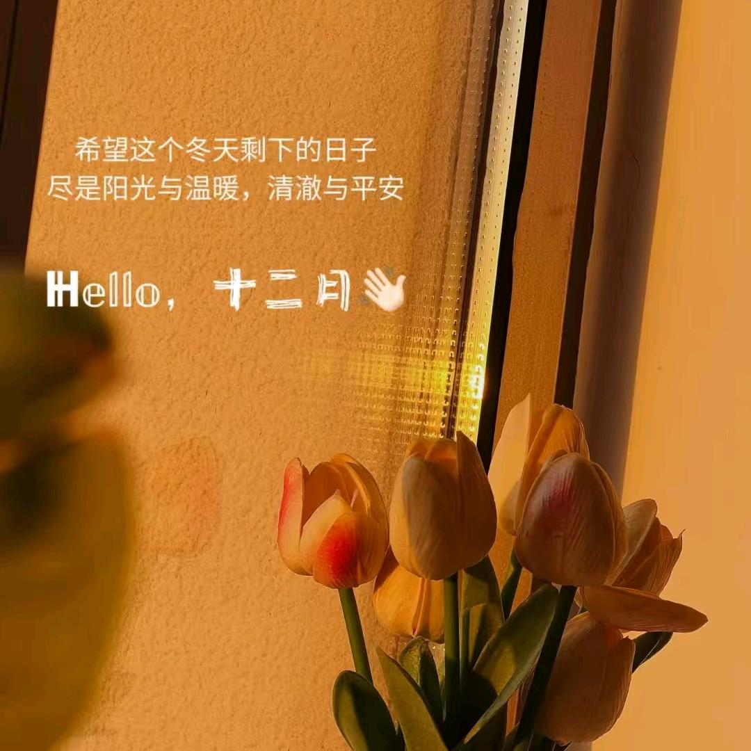 @名字没想好