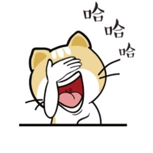 笨笨猫（互关互赞）