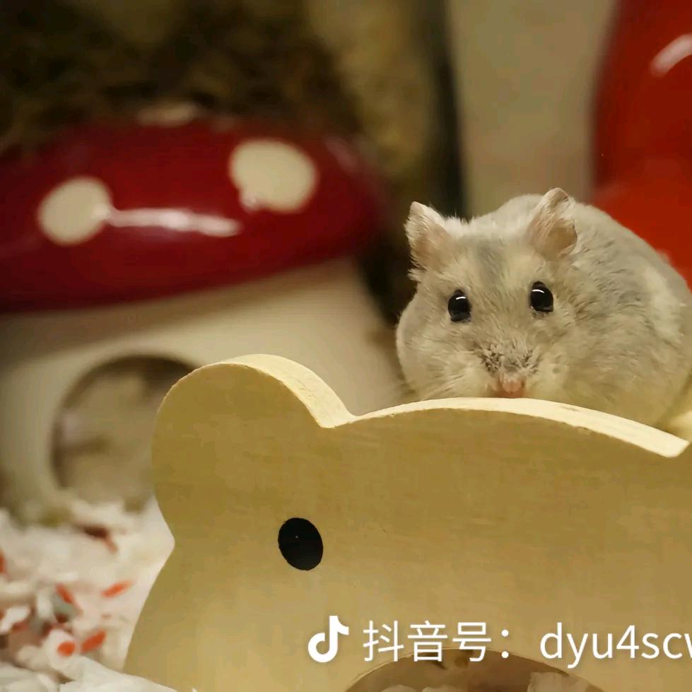 用户7892568235