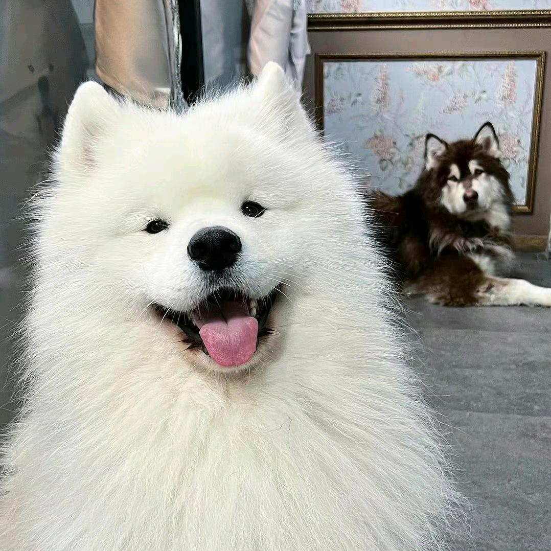 yanyanyan👀