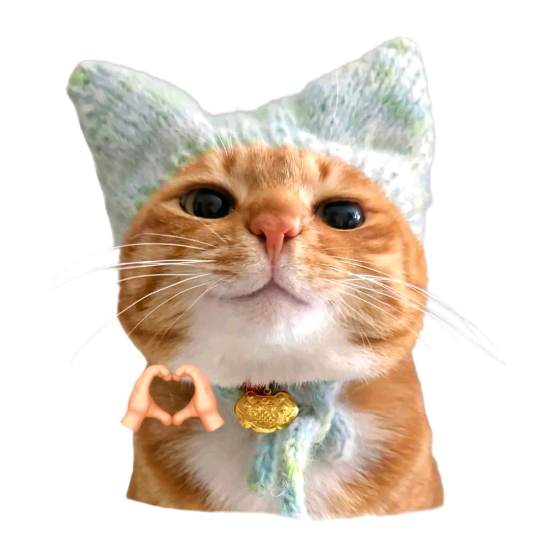 🐈