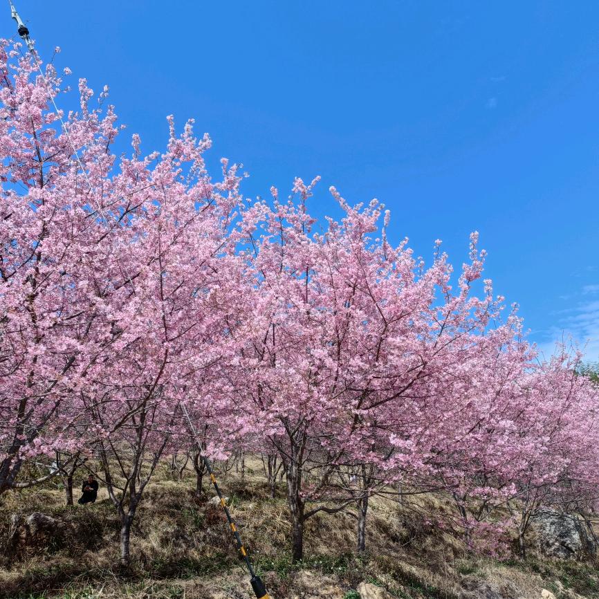 用户名41760507头像