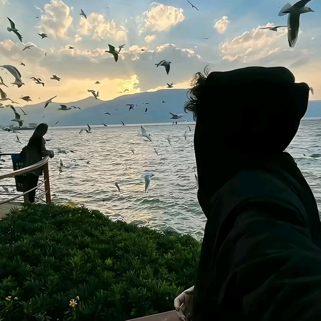与爱相约