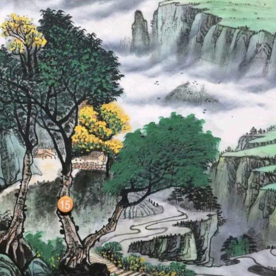 不凡的代卫