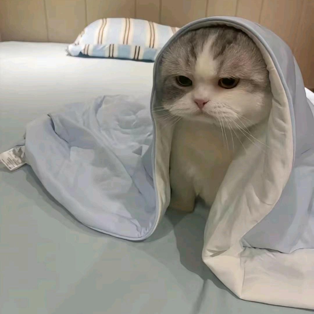 取名真烦恼