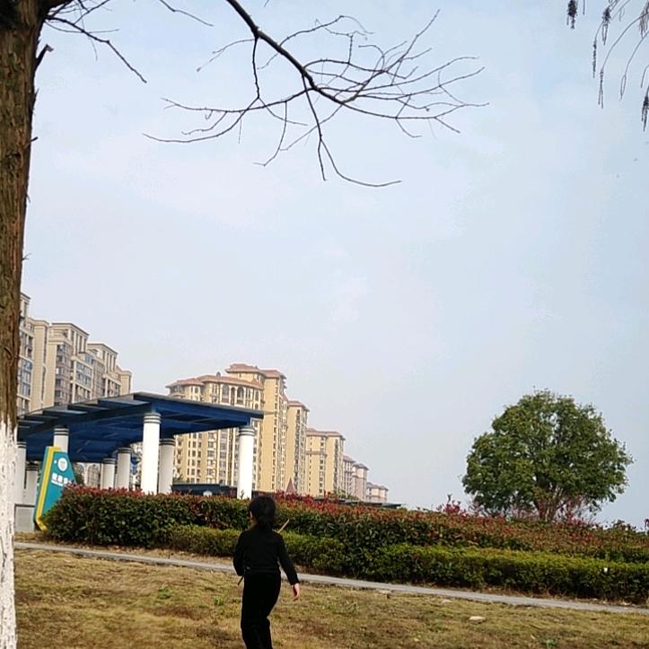 我心如铁坚不可摧