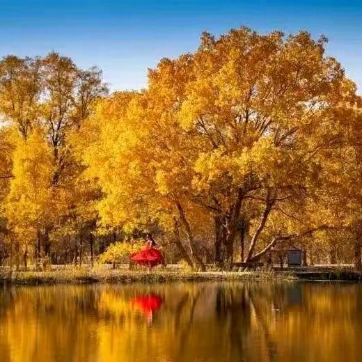 乘风破浪