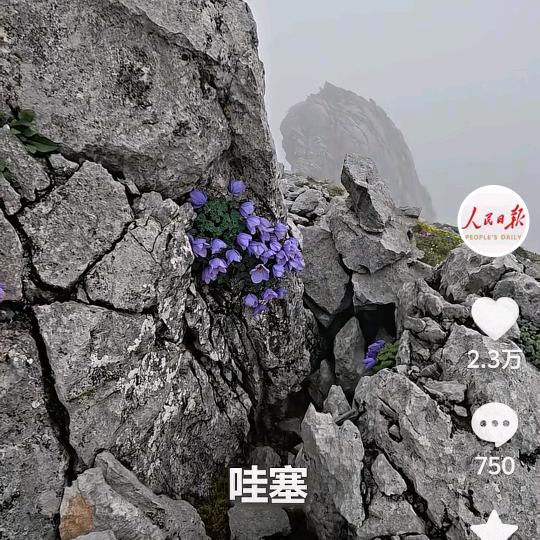 秋天来了