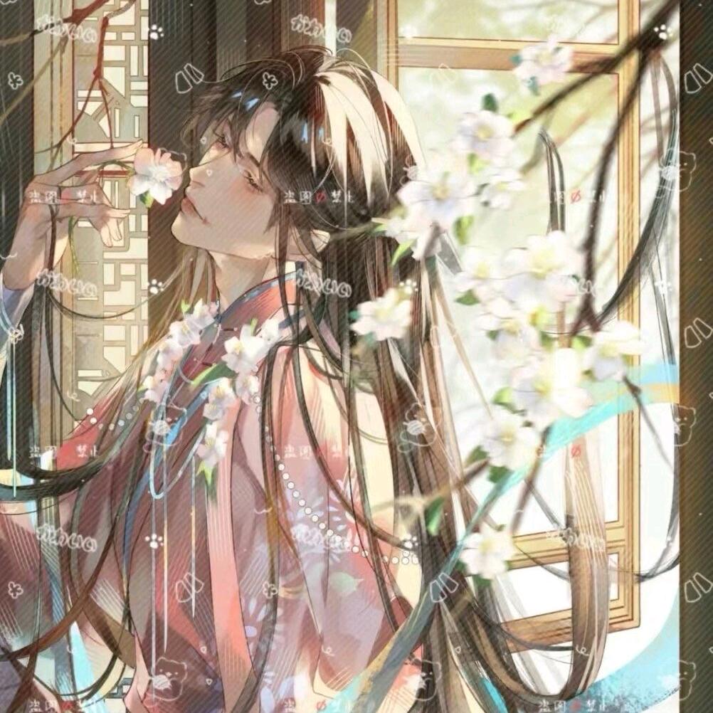 木森林百货✨