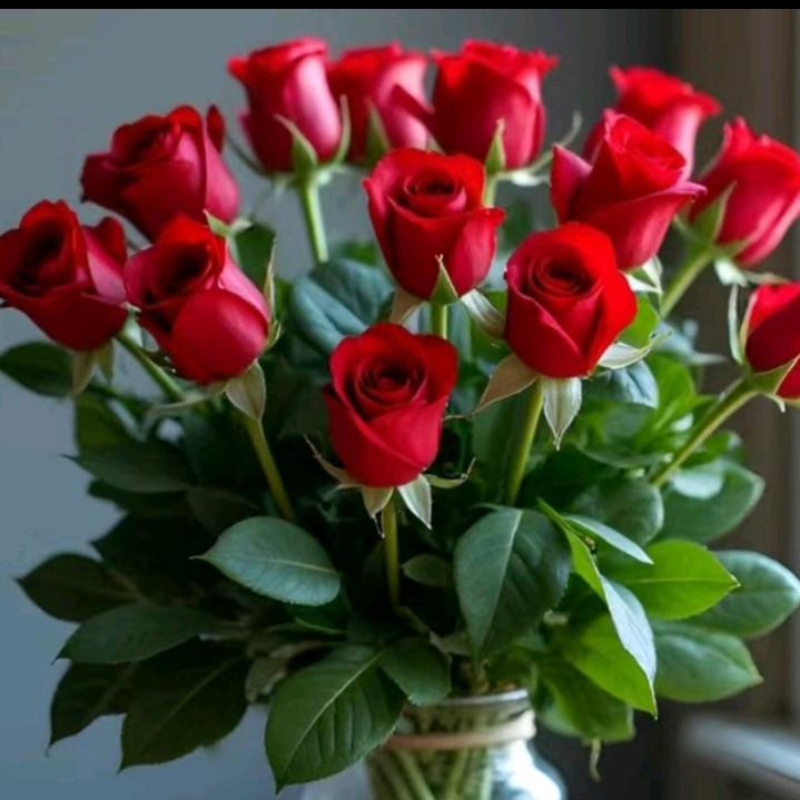 红玫瑰🌹🌹