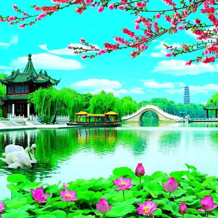 那年那月认识你