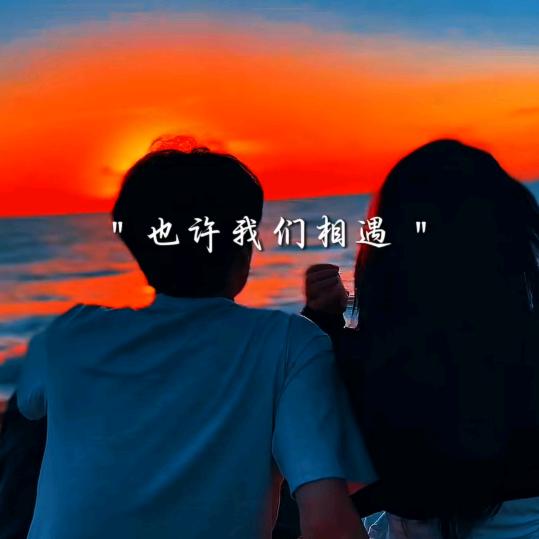 臭宝`