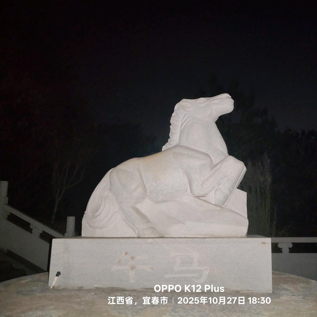 衢州鸭头(八景店)