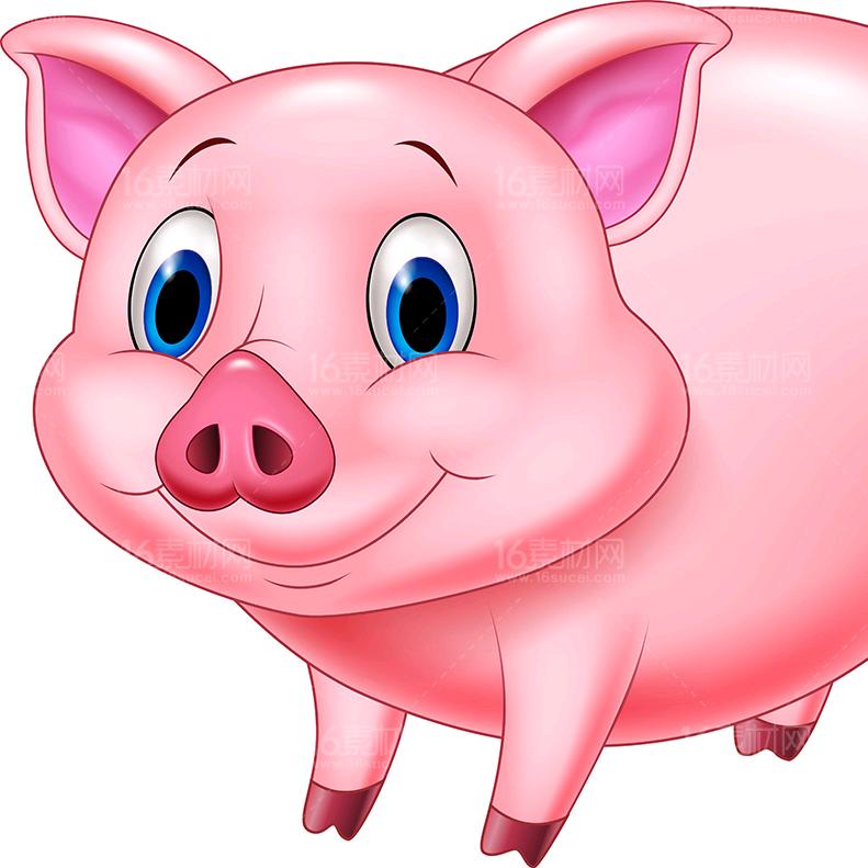 世纪城亓家肴肉放心肉店