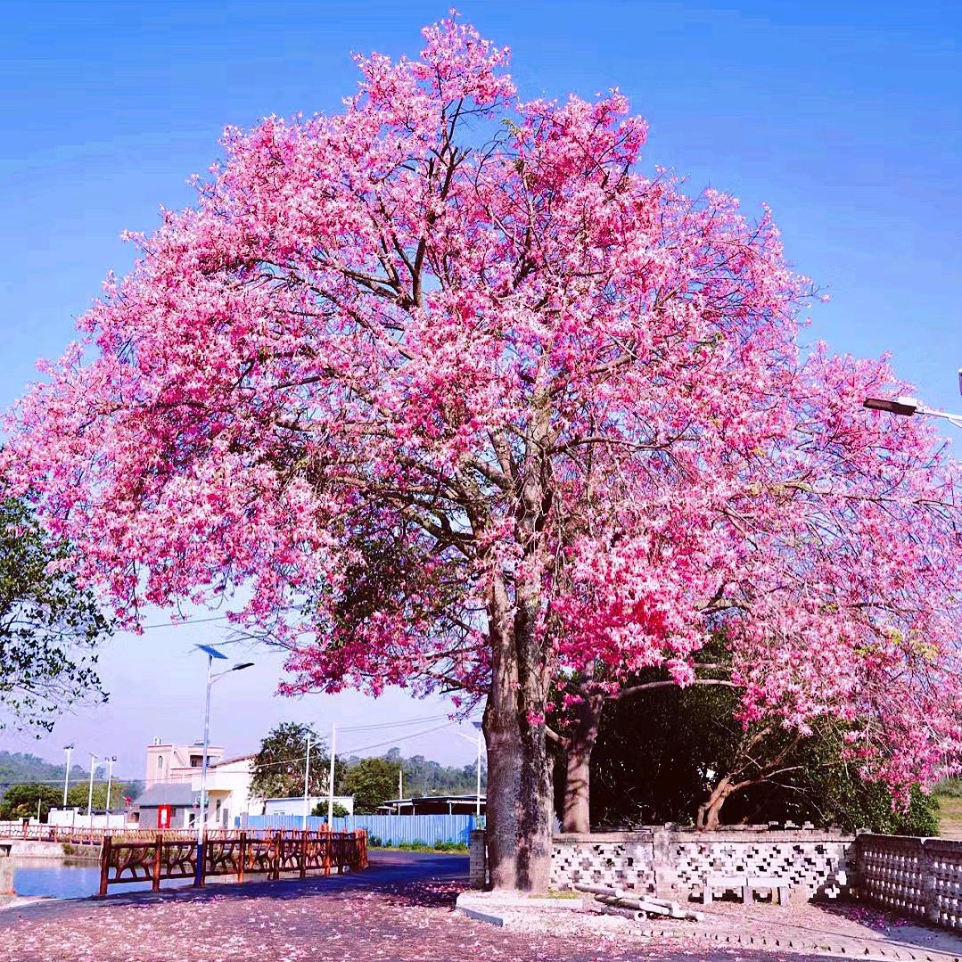 ༄྄ེིོུ优雅的泵车哥ཉི࿔࿆࿐ོ