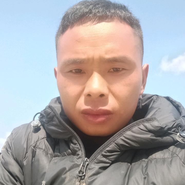 啊恩一一绿化苗木