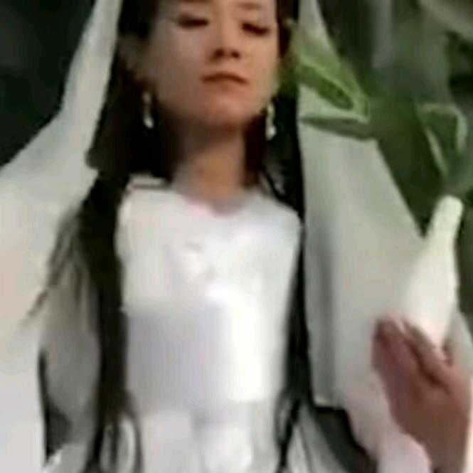 豆弟