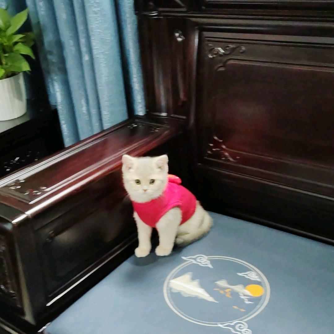 简单就好