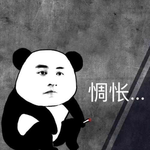 旭哥是宝宝