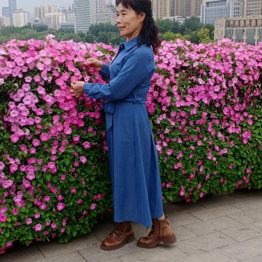 苏芹