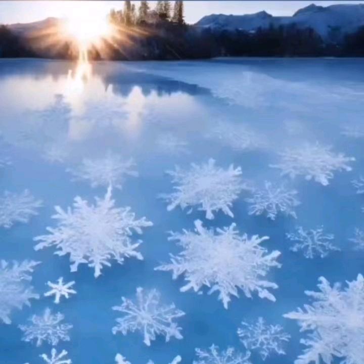 经典老歌
