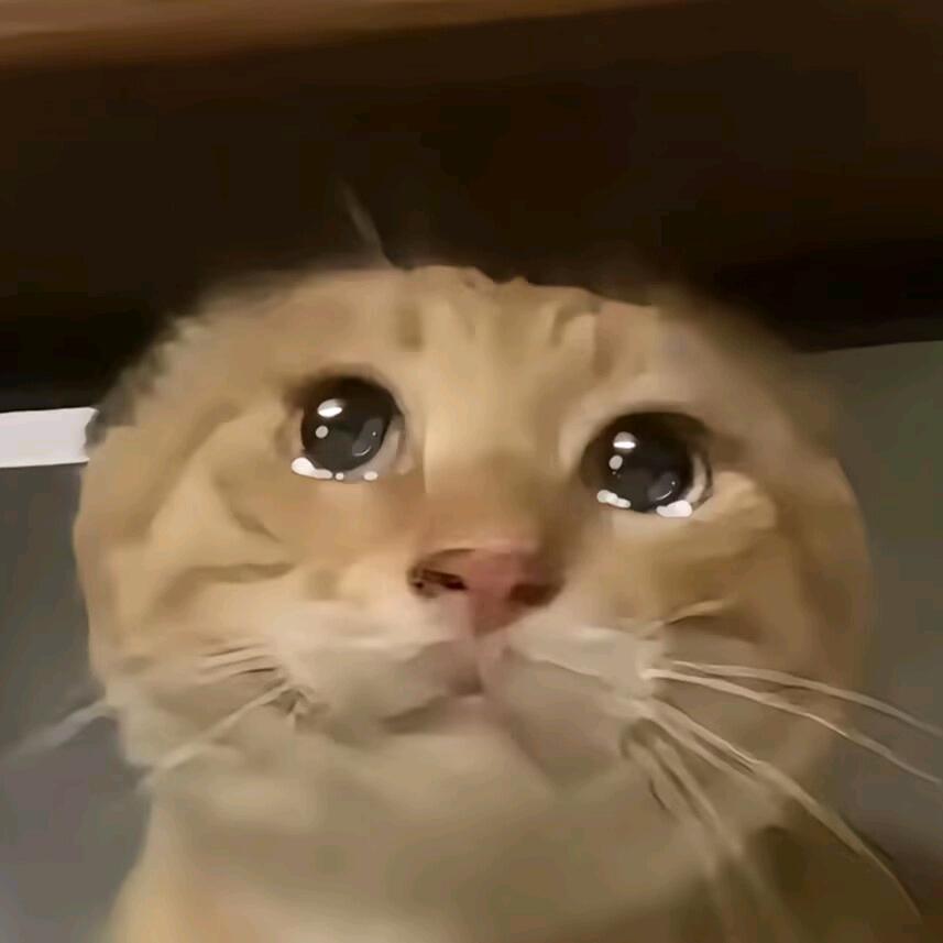 哒得把哟