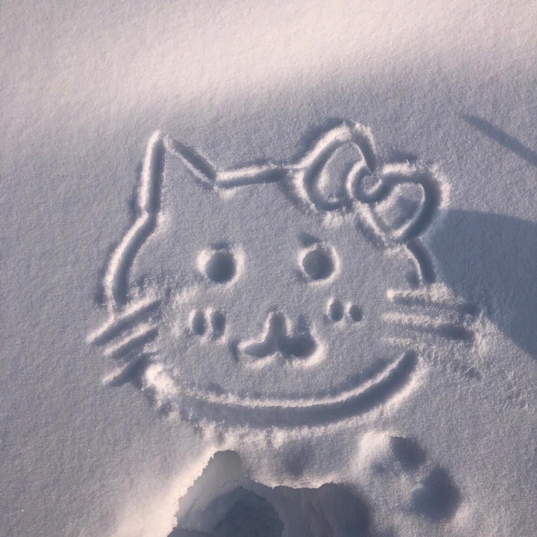 有梦想的人🍀☘️