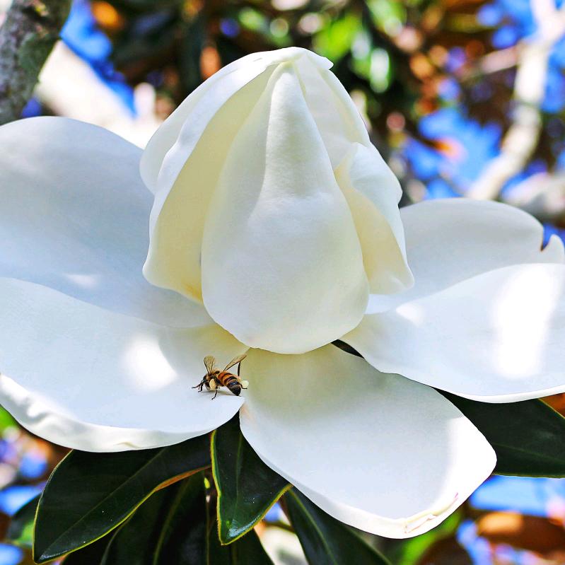 给我一个理由放弃