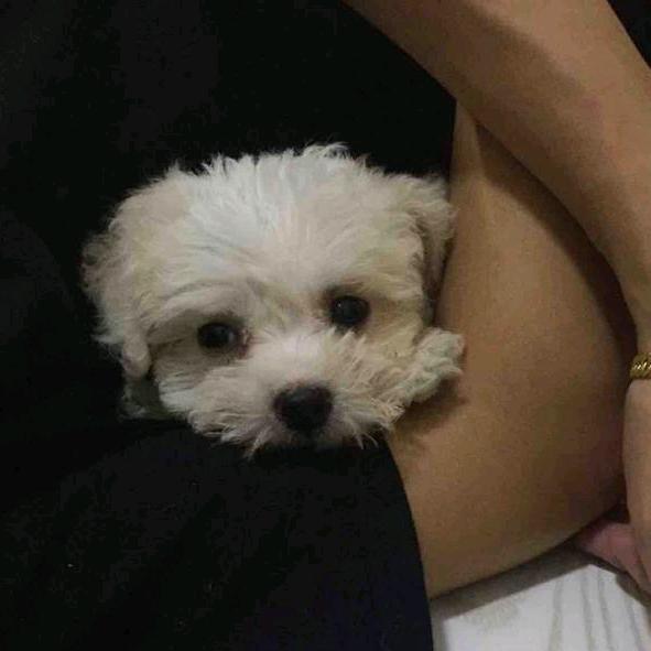 玻利维亚的自拍🎱