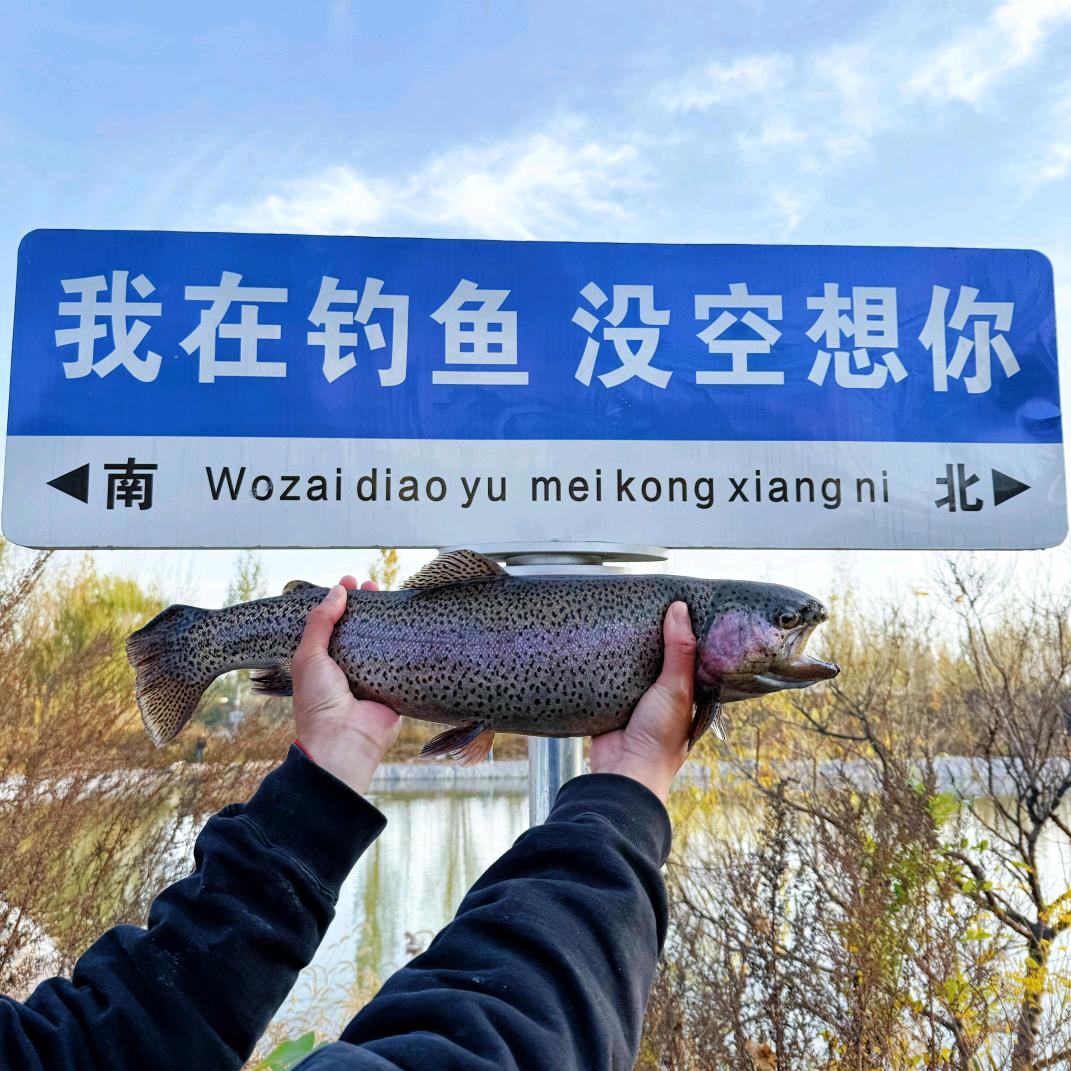 友趣鱼具用品
